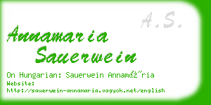 annamaria sauerwein business card